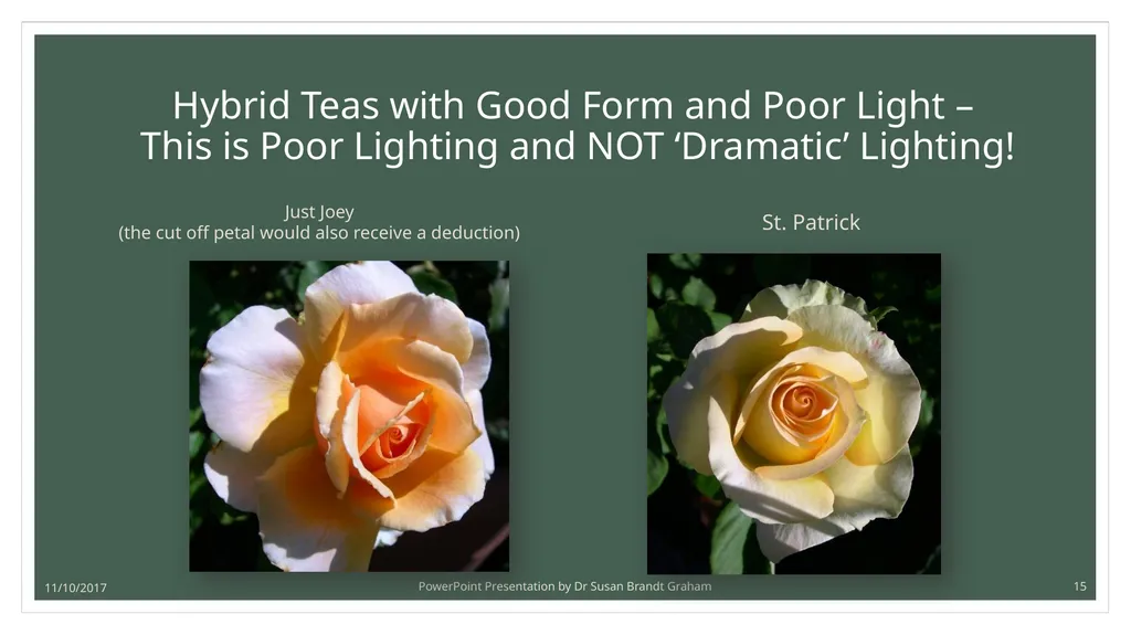 Photographing Roses: understanding and using the - slide 15 of 43