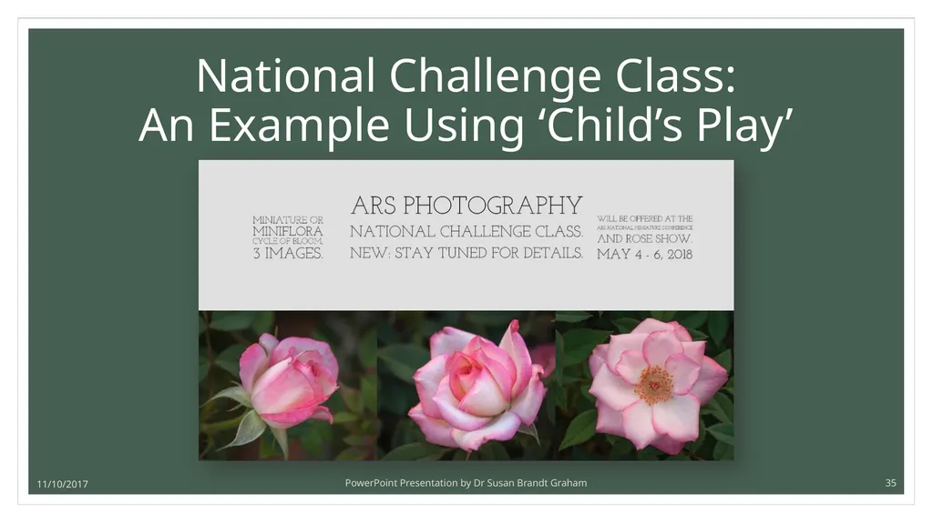 Photographing Roses: understanding and using the - slide 35 of 43