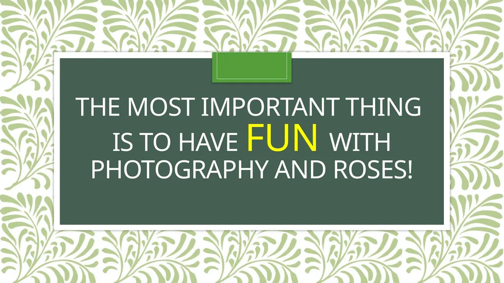 Photographing Roses: understanding and using the - slide 6 of 43
