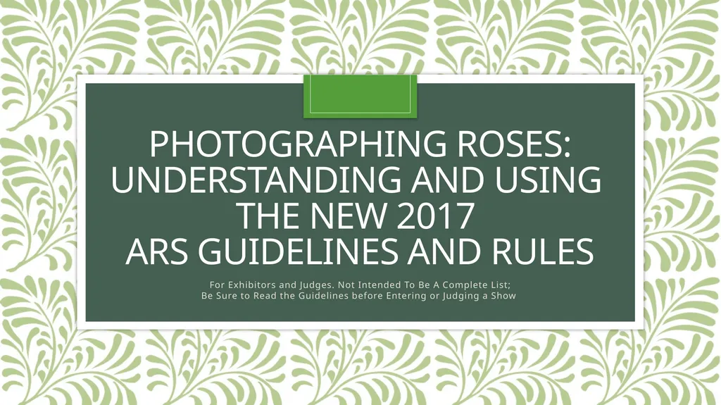 Photographing Roses: understanding and using the