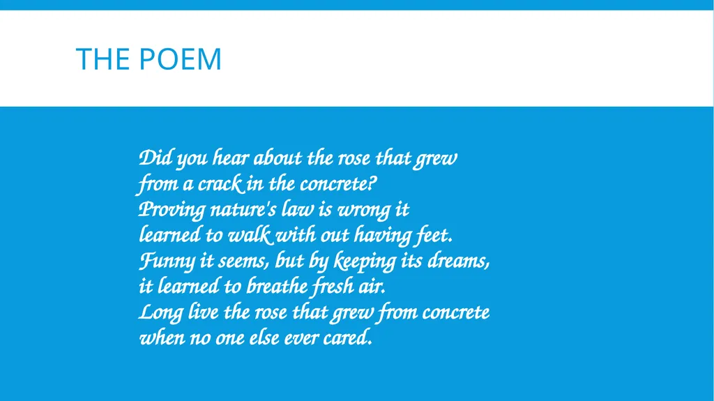 The Rose that Grew From Concrete By Tupac Shakur - slide 3 of 12