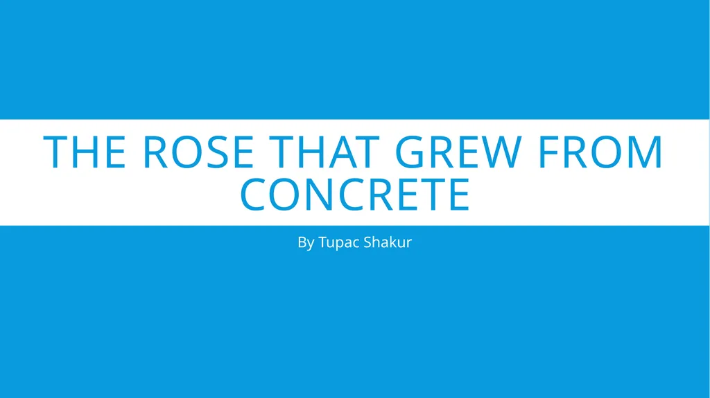 The Rose that Grew From Concrete By Tupac Shakur - slide 1 of 12