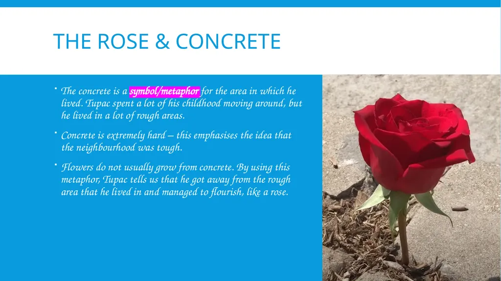 The Rose that Grew From Concrete By Tupac Shakur - slide 8 of 12