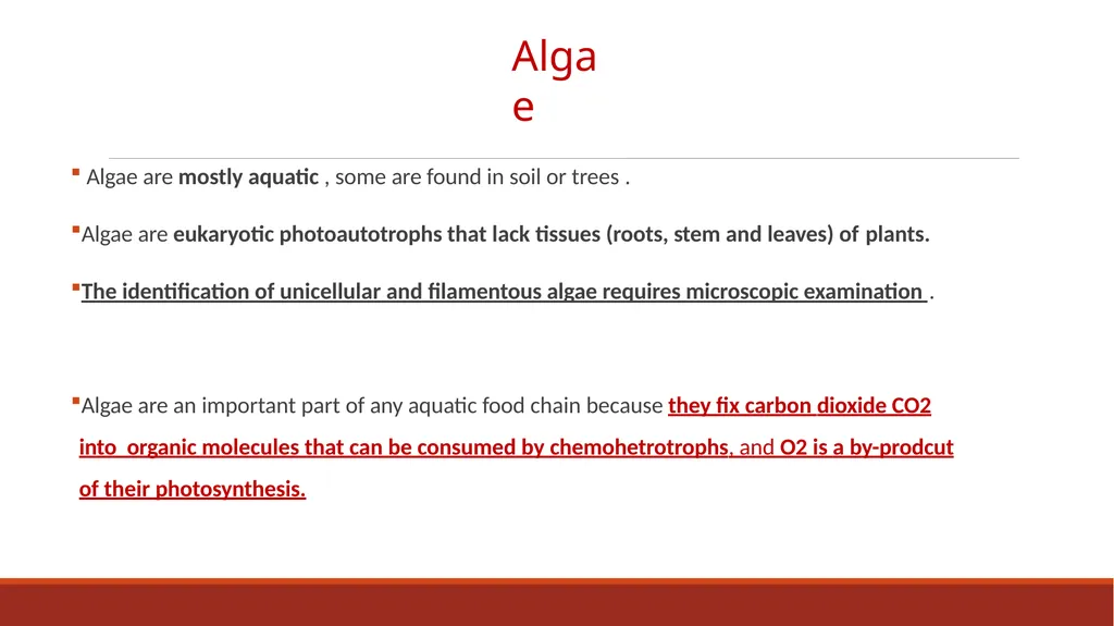 Lecture-15 Microbial diversity and groups Fungi - slide 10 of 14