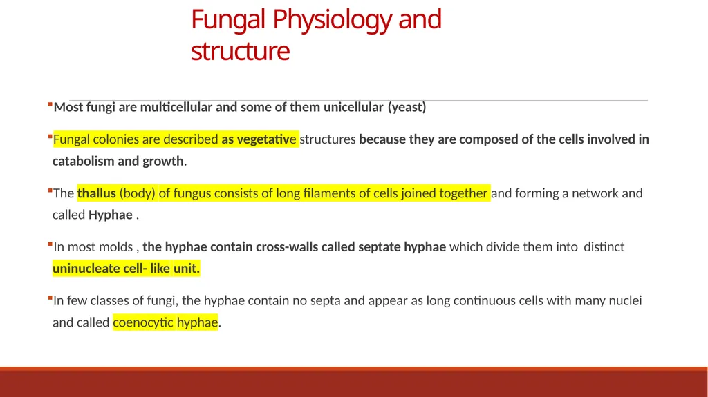 Lecture-15 Microbial diversity and groups Fungi - slide 3 of 14