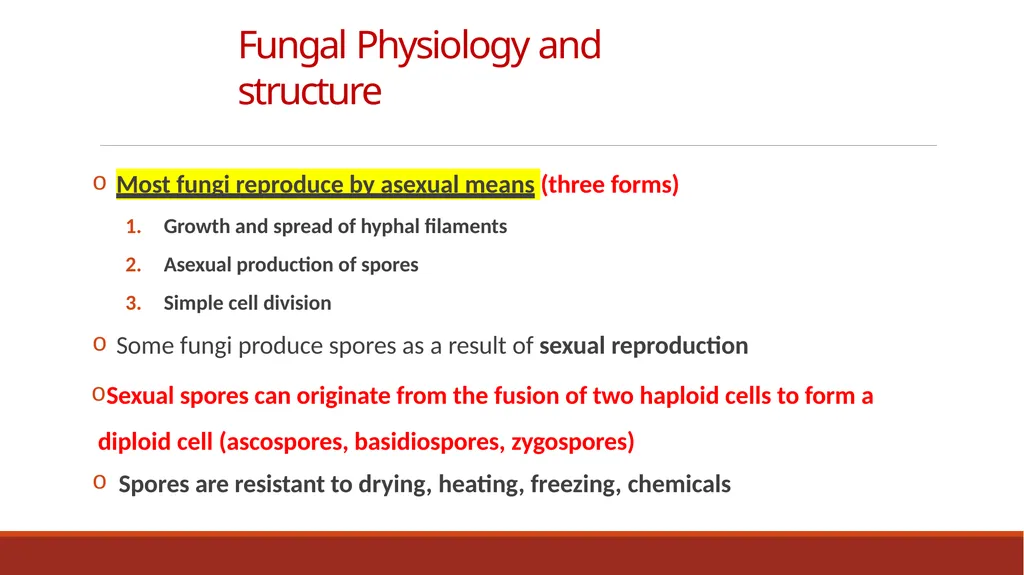 Lecture-15 Microbial diversity and groups Fungi - slide 5 of 14