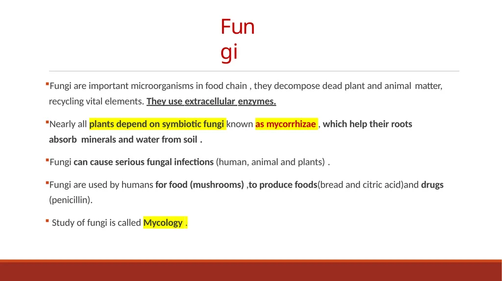Lecture-15 Microbial diversity and groups Fungi - slide 2 of 14