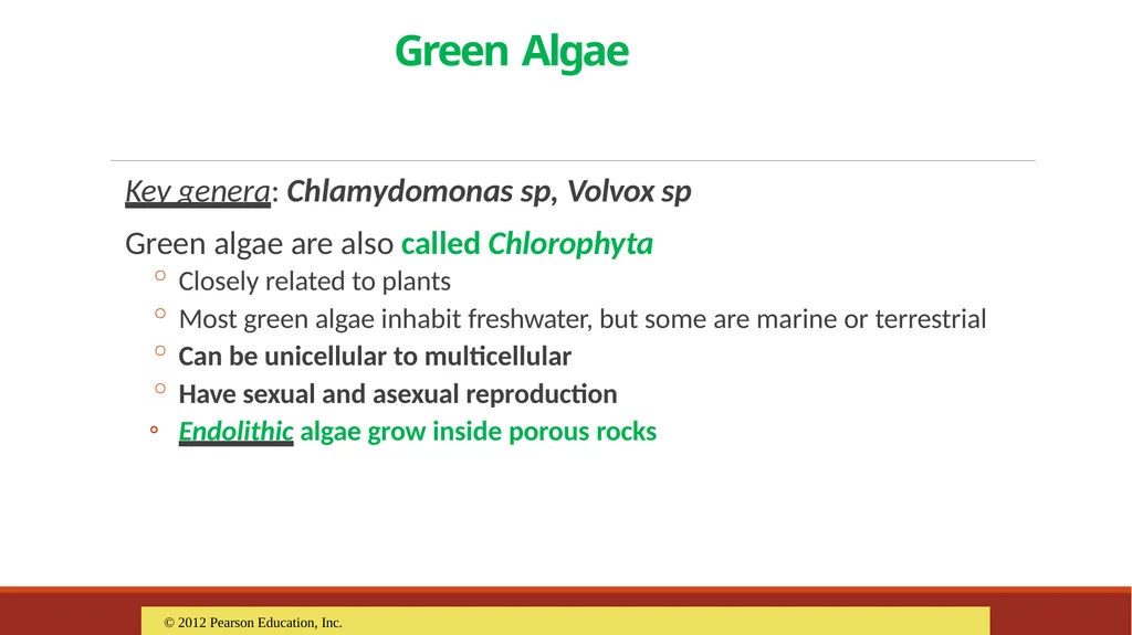 Lecture-15 Microbial diversity and groups Fungi - slide 13 of 14