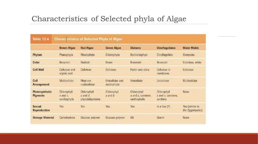 Lecture-15 Microbial diversity and groups Fungi - slide 11 of 14