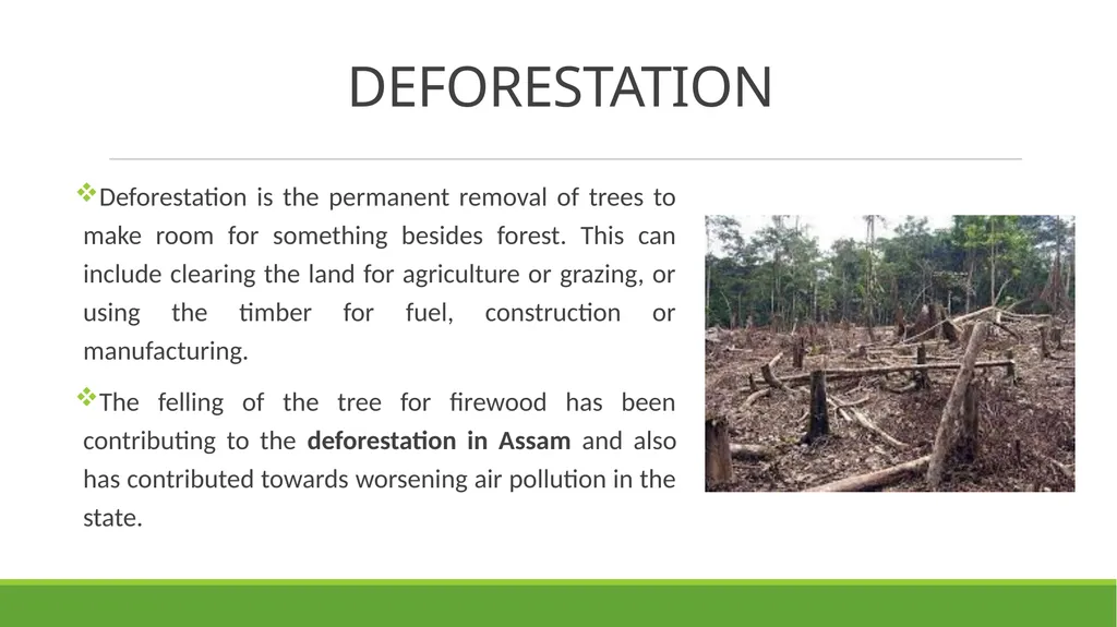 ENVIRONMENTAL PROBLEMS IN ASSAM PREPARED BY - slide 6 of 15