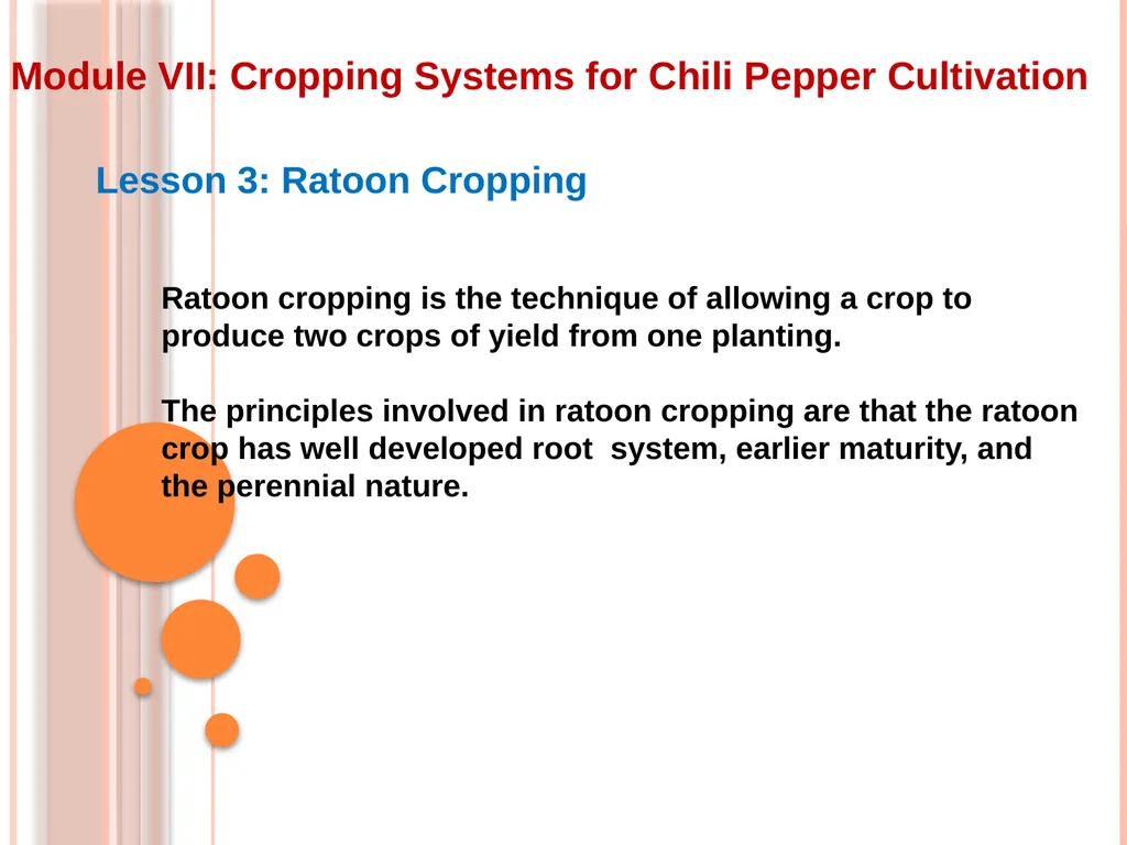 Module VII: Cropping Systems for Chili Pepper - slide 2 of 9