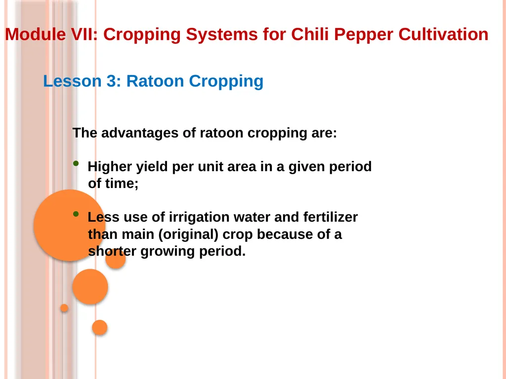 Module VII: Cropping Systems for Chili Pepper - slide 4 of 9