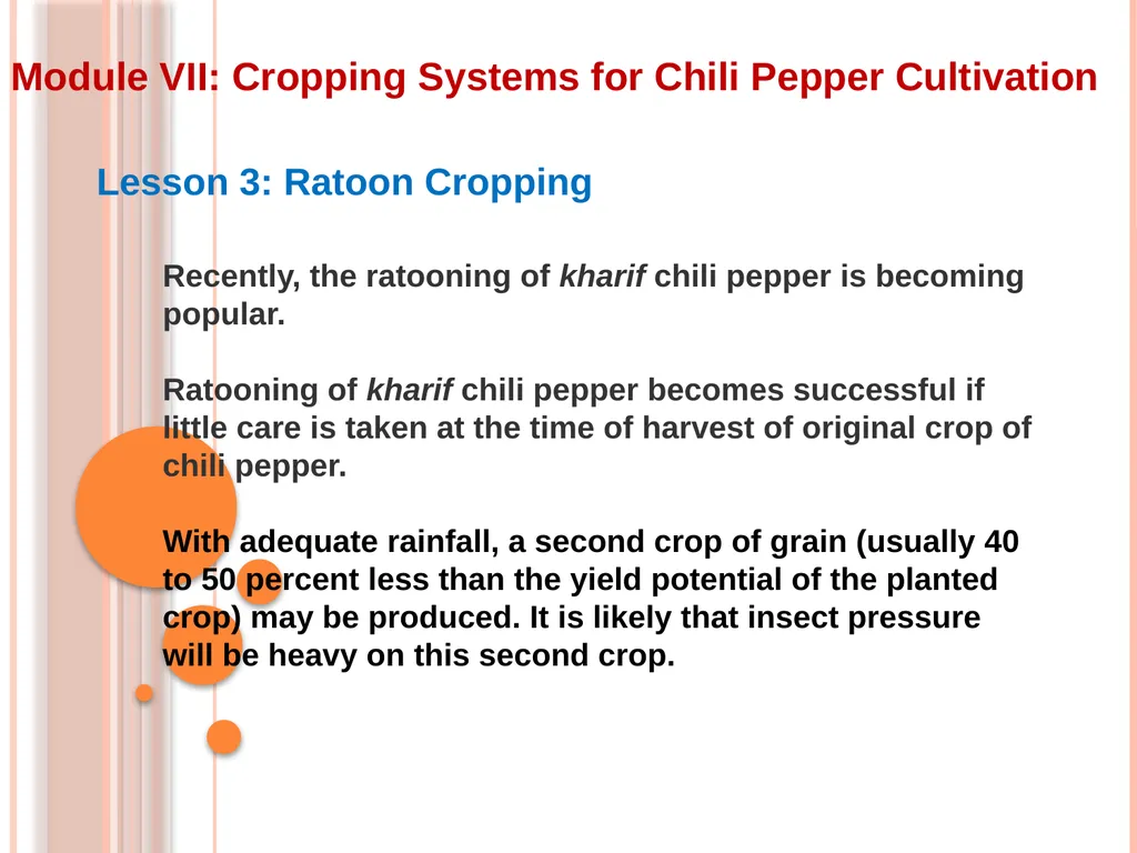 Module VII: Cropping Systems for Chili Pepper - slide 5 of 9