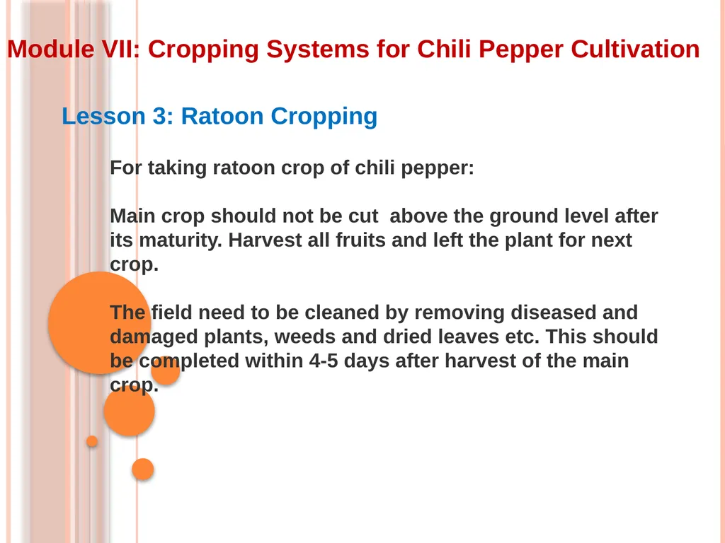 Module VII: Cropping Systems for Chili Pepper - slide 6 of 9