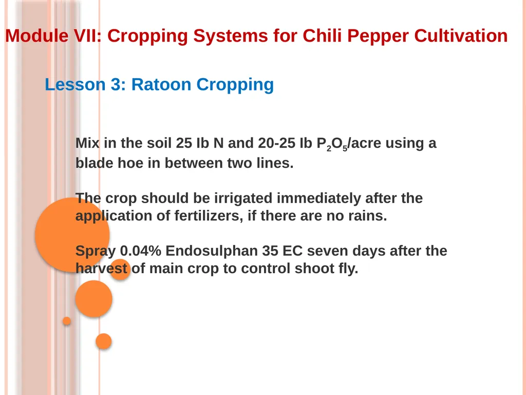 Module VII: Cropping Systems for Chili Pepper - slide 7 of 9