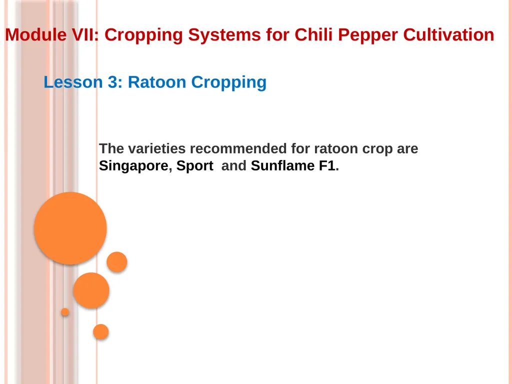 Module VII: Cropping Systems for Chili Pepper - slide 8 of 9