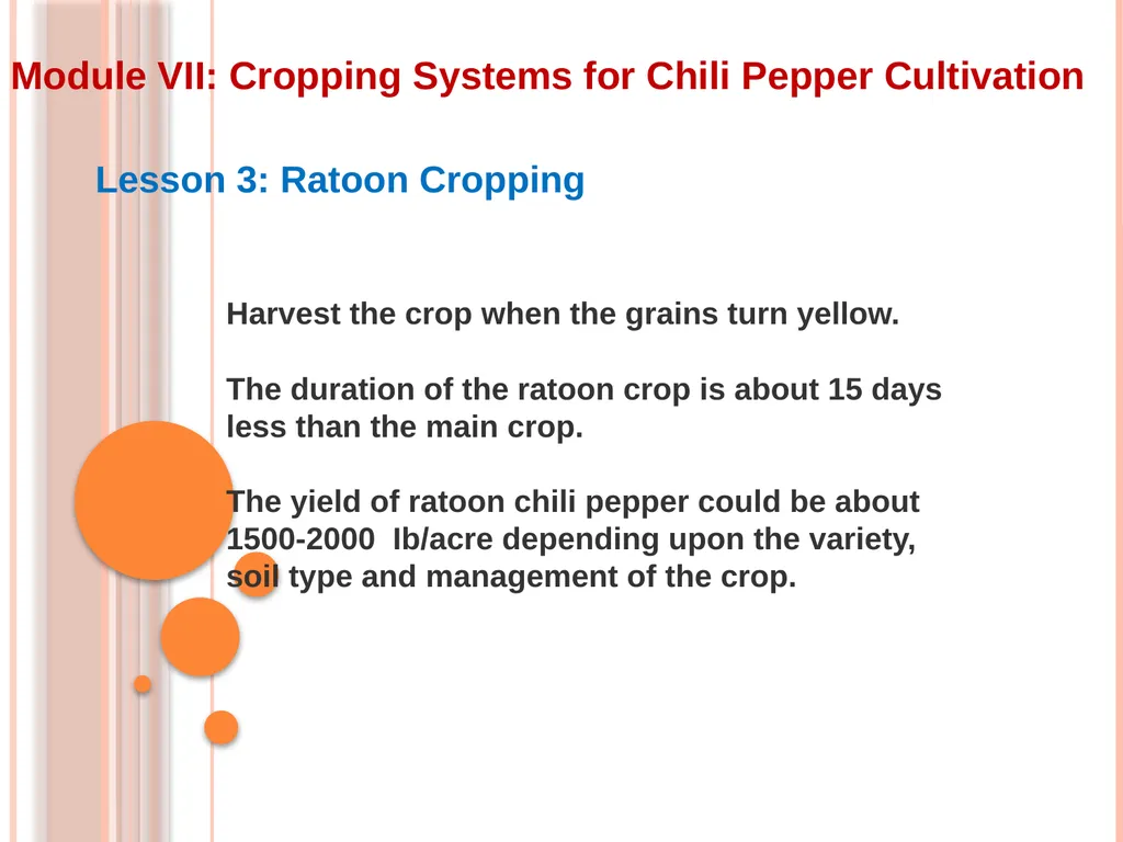 Module VII: Cropping Systems for Chili Pepper - slide 9 of 9