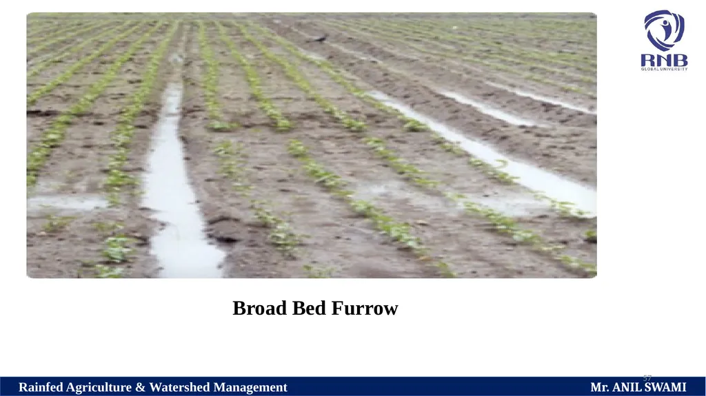 SOIL AND WATER CONSERVATION TECHNIQUES Delivered - slide 57 of 66