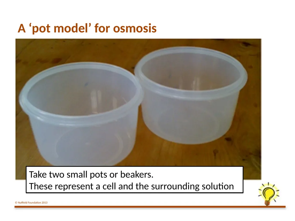 Practical Work for Learning Using a pot model to - slide 7 of 19