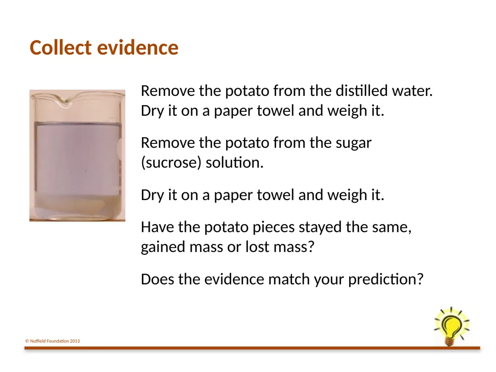Practical Work for Learning Using a pot model to - slide 14 of 19