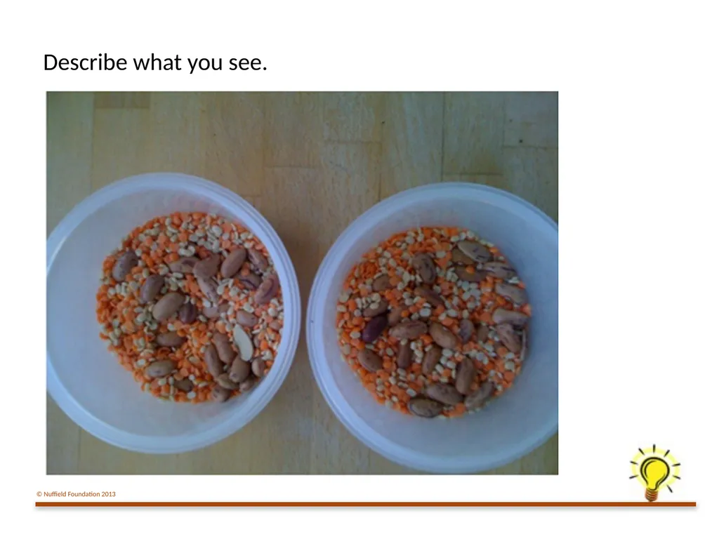 Practical Work for Learning Using a pot model to - slide 12 of 19