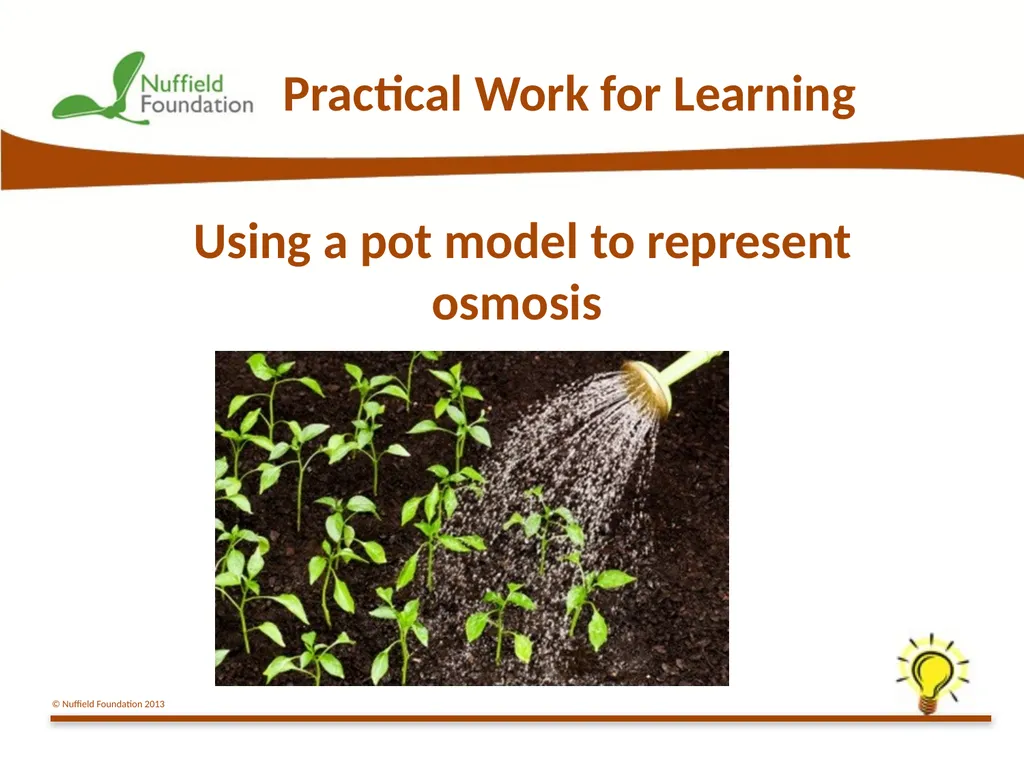 Practical Work for Learning Using a pot model to - slide 1 of 19