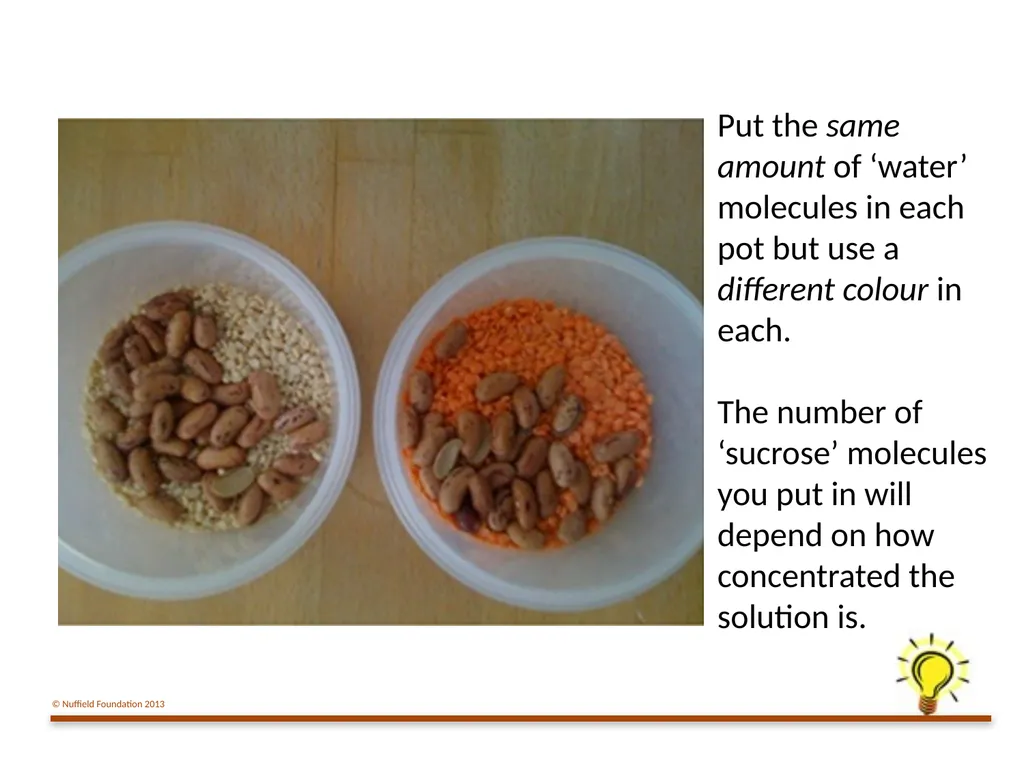 Practical Work for Learning Using a pot model to - slide 9 of 19