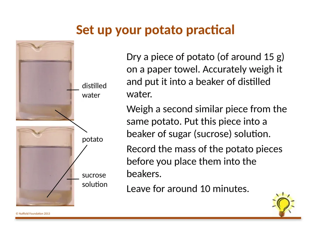 Practical Work for Learning Using a pot model to - slide 4 of 19