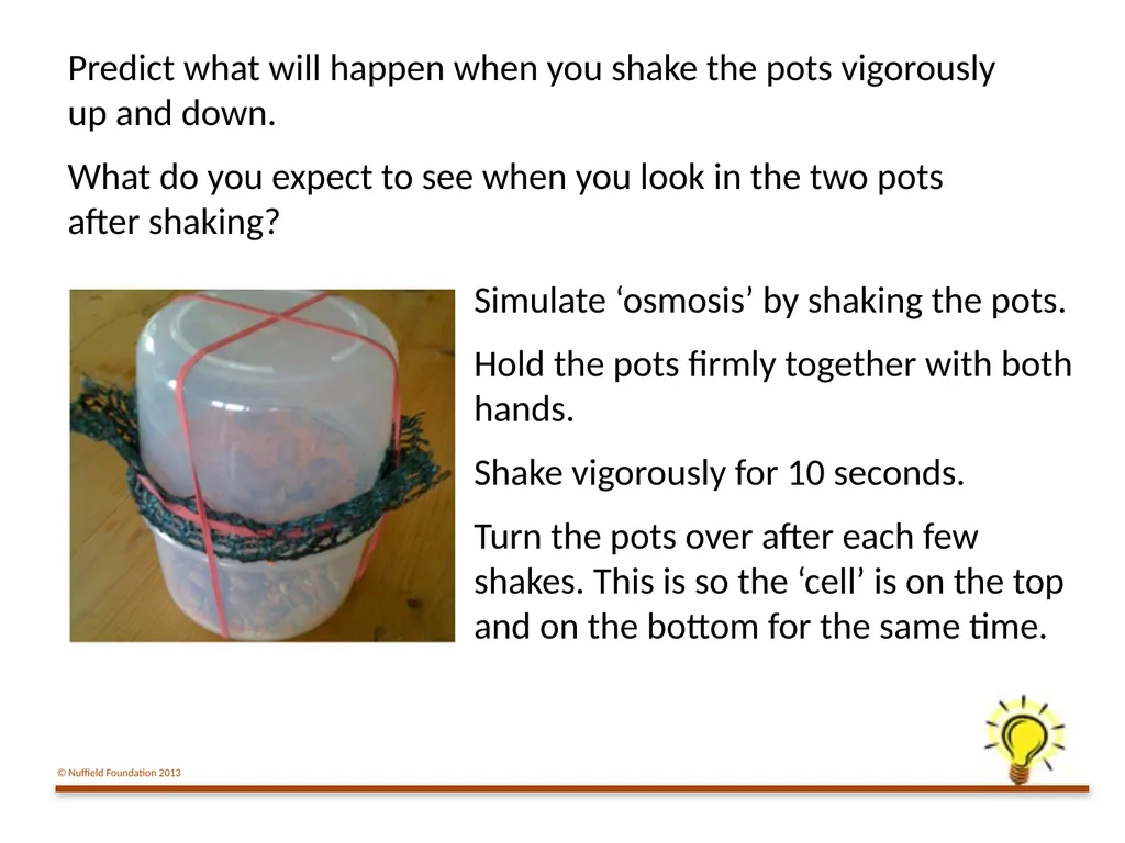Practical Work for Learning Using a pot model to - slide 11 of 19