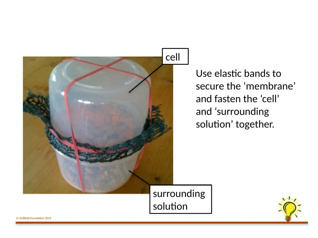 Practical Work for Learning Using a pot model to - slide 10 of 19