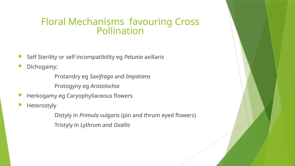 Pollination Pollination is the transfer of pollen - slide 13 of 22