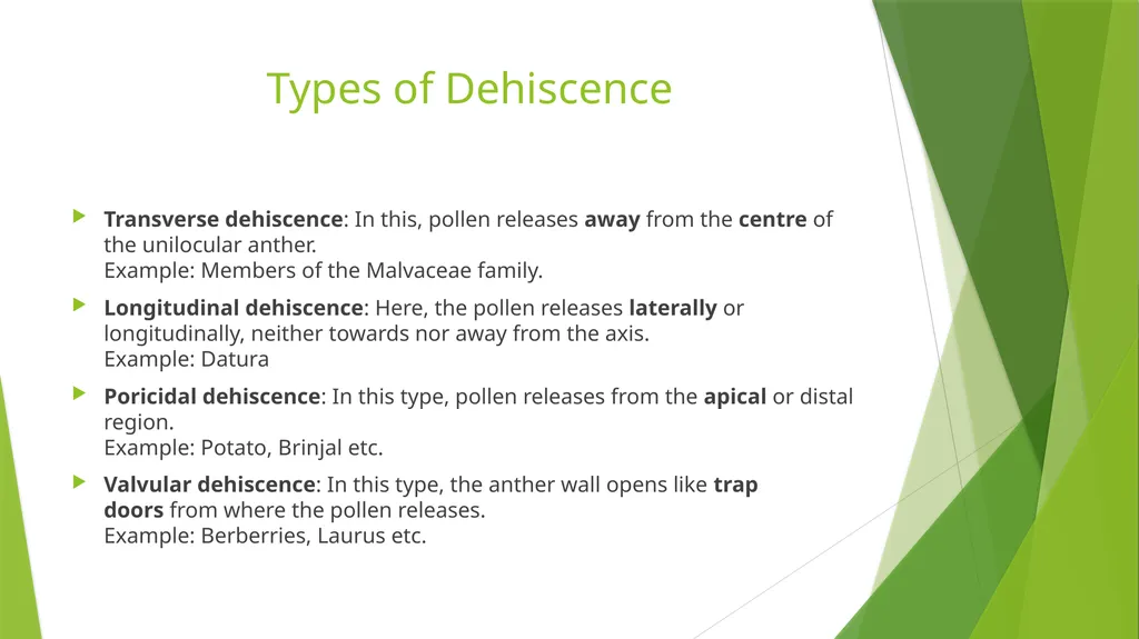 Pollination Pollination is the transfer of pollen - slide 3 of 22