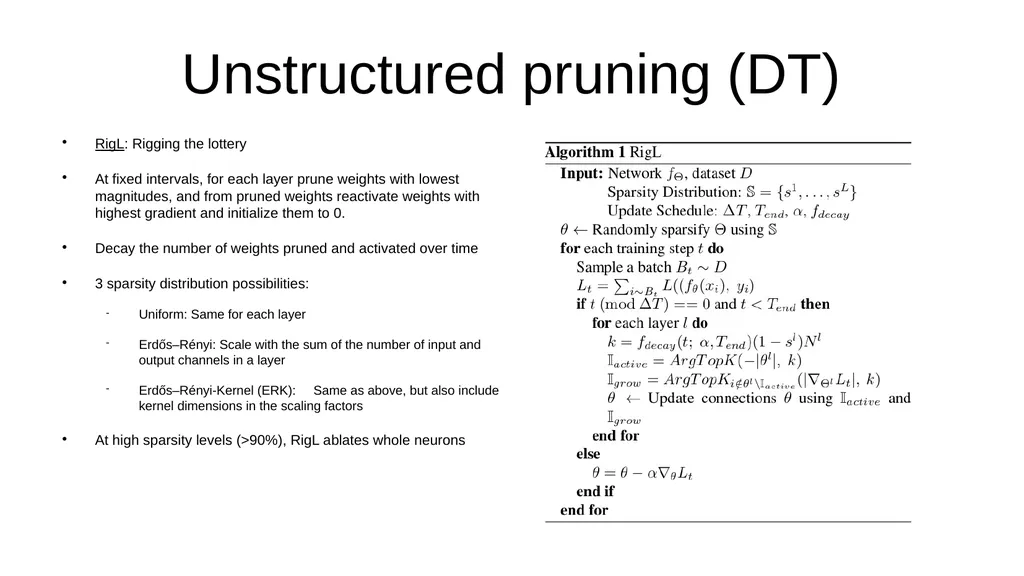 I read papers related to pruning and reducing the - slide 9 of 17