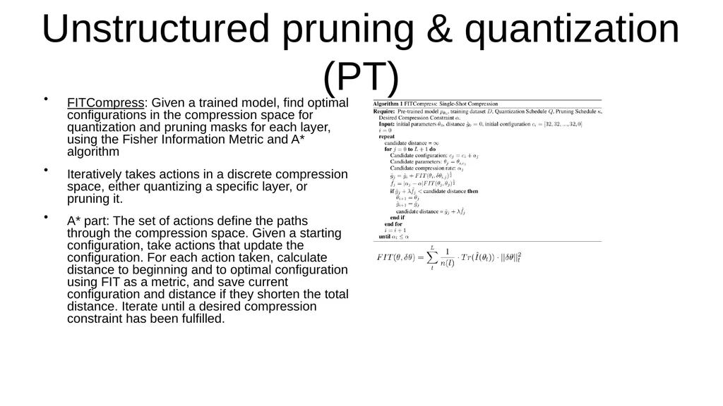 I read papers related to pruning and reducing the - slide 10 of 17