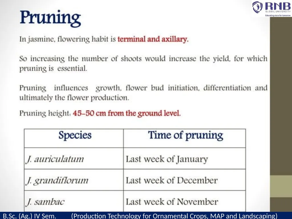 Course Name- Production Technology for Ornamental - slide 13 of 21