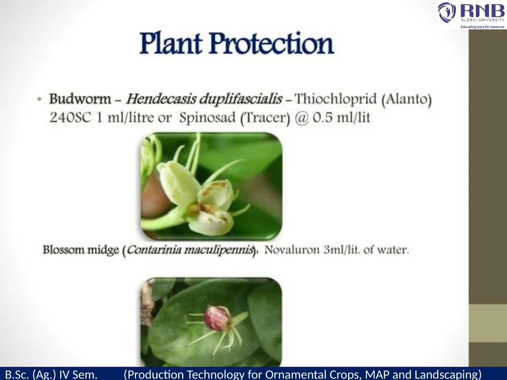 Course Name- Production Technology for Ornamental - slide 16 of 21