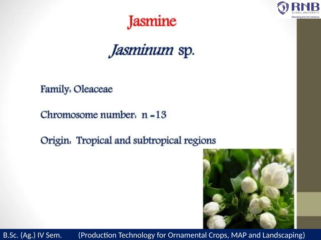 Course Name- Production Technology for Ornamental - slide 3 of 21