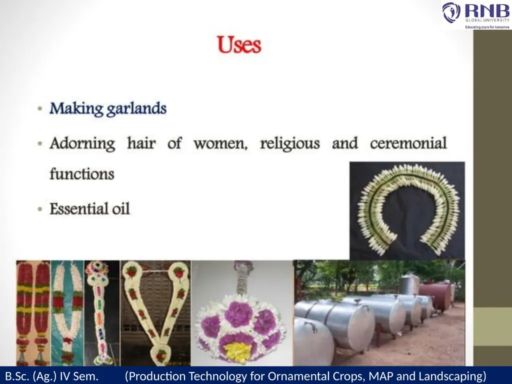 Course Name- Production Technology for Ornamental - slide 5 of 21