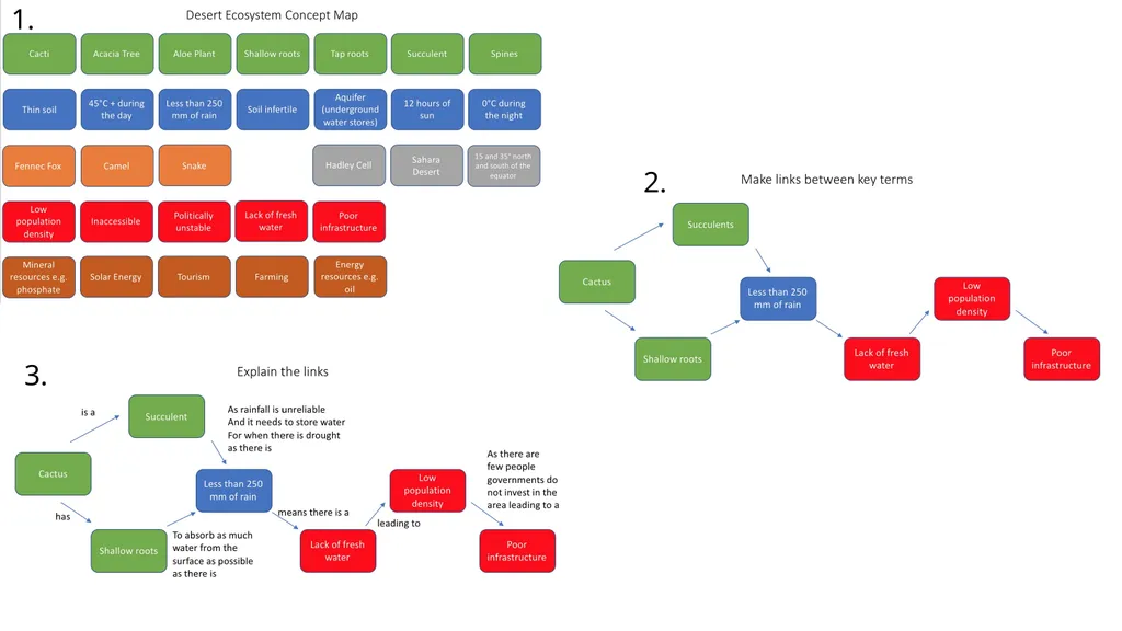 1. 2. 3. Desert Ecosystem Concept Map Cacti Acacia - slide 1 of 4