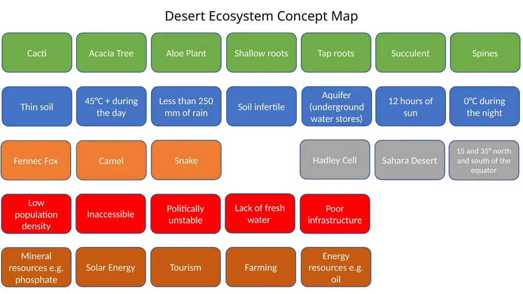 1. 2. 3. Desert Ecosystem Concept Map Cacti Acacia - slide 2 of 4