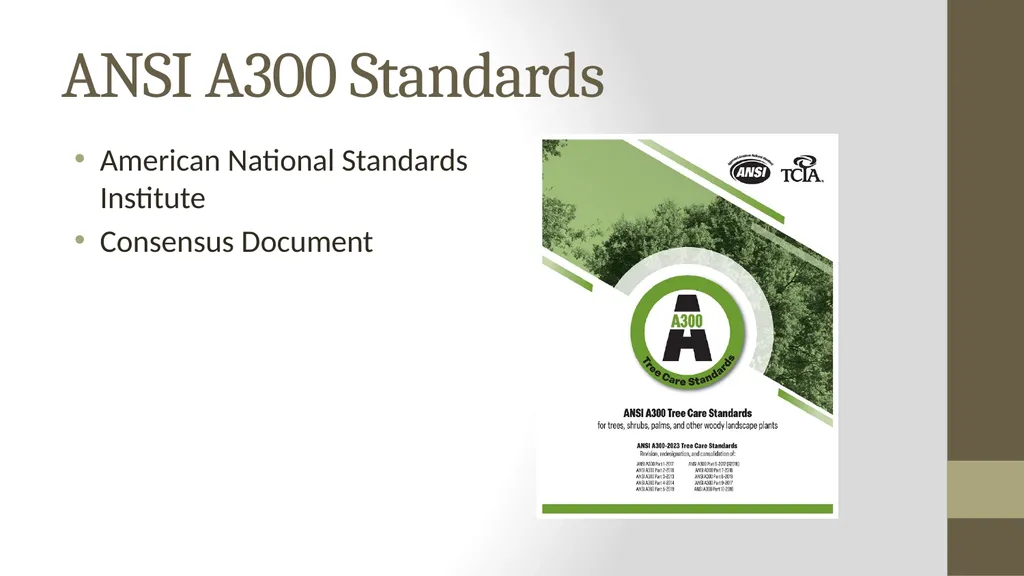 Wielding the A300 Standards: The Shield and the - slide 2 of 118