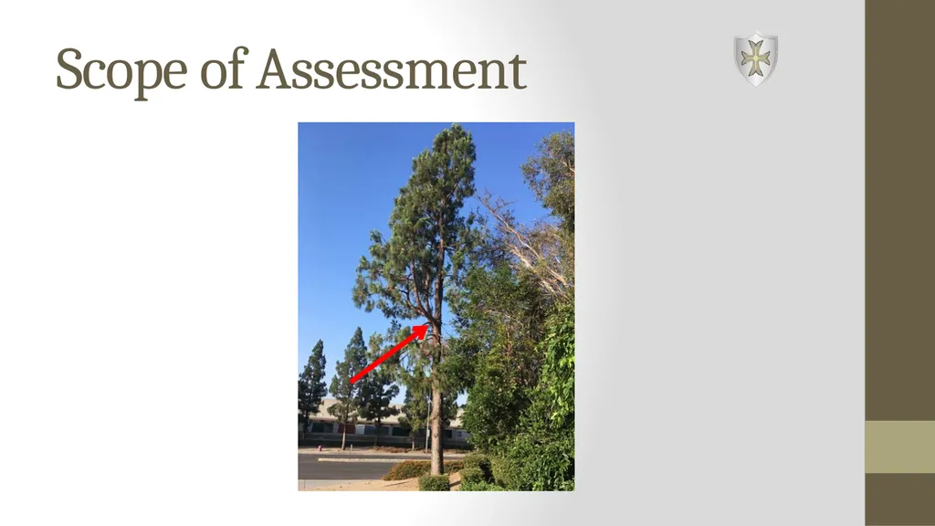 Wielding the A300 Standards: The Shield and the - slide 57 of 118