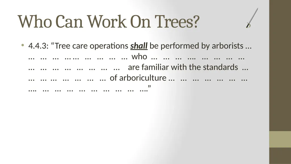 Wielding the A300 Standards: The Shield and the - slide 24 of 118