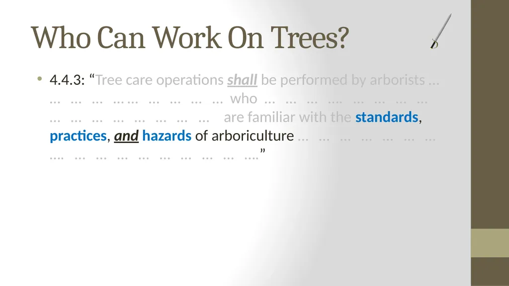 Wielding the A300 Standards: The Shield and the - slide 25 of 118