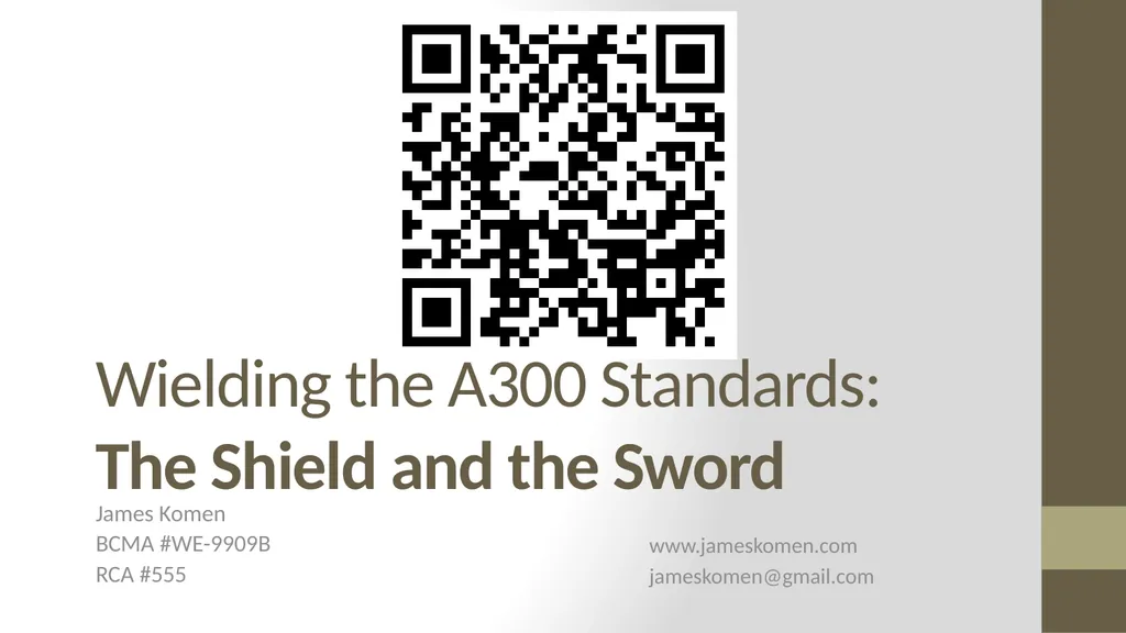 Wielding the A300 Standards: The Shield and the - slide 118 of 118