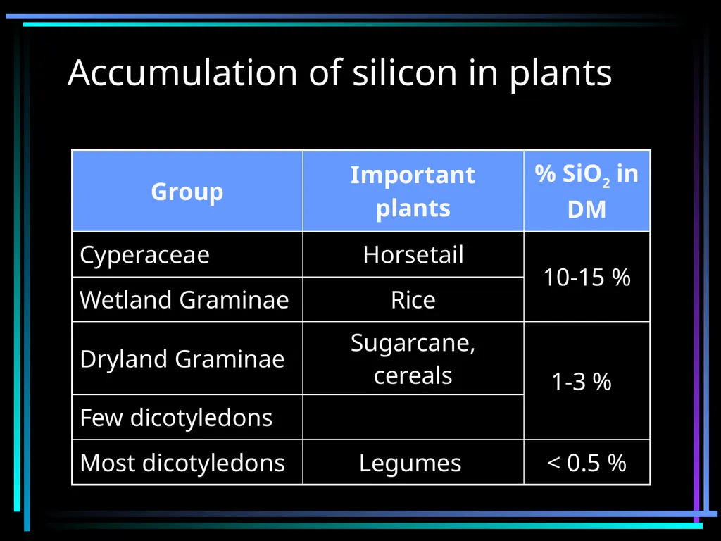 SILICON FERTILIZATION History Justius von Liebig - slide 9 of 23
