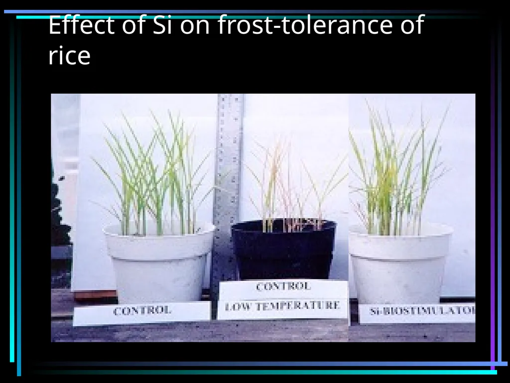 SILICON FERTILIZATION History Justius von Liebig - slide 17 of 23