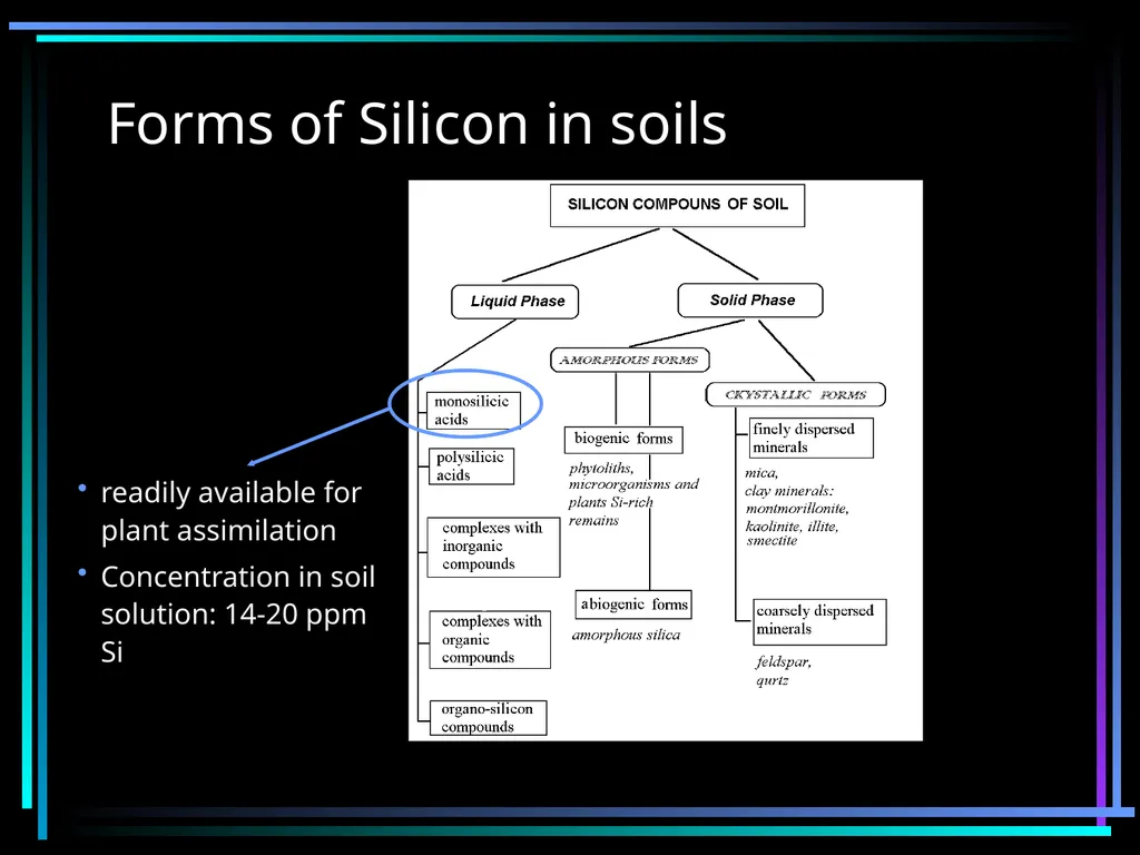 SILICON FERTILIZATION History Justius von Liebig - slide 6 of 23