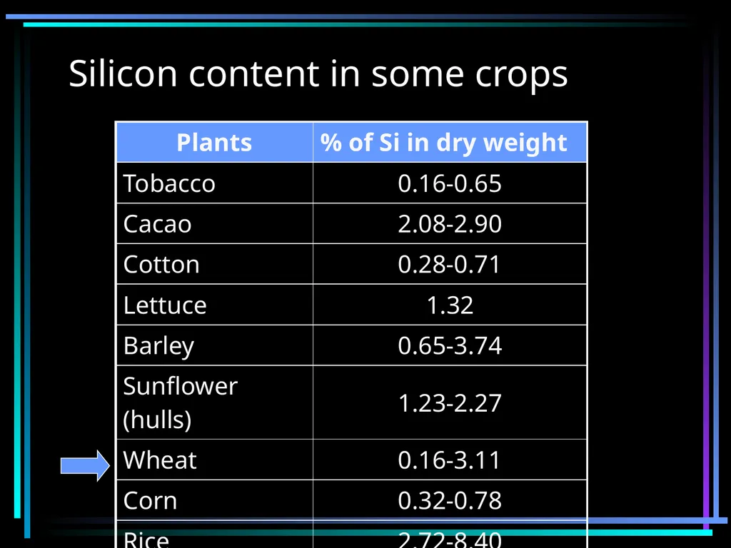 SILICON FERTILIZATION History Justius von Liebig - slide 8 of 23