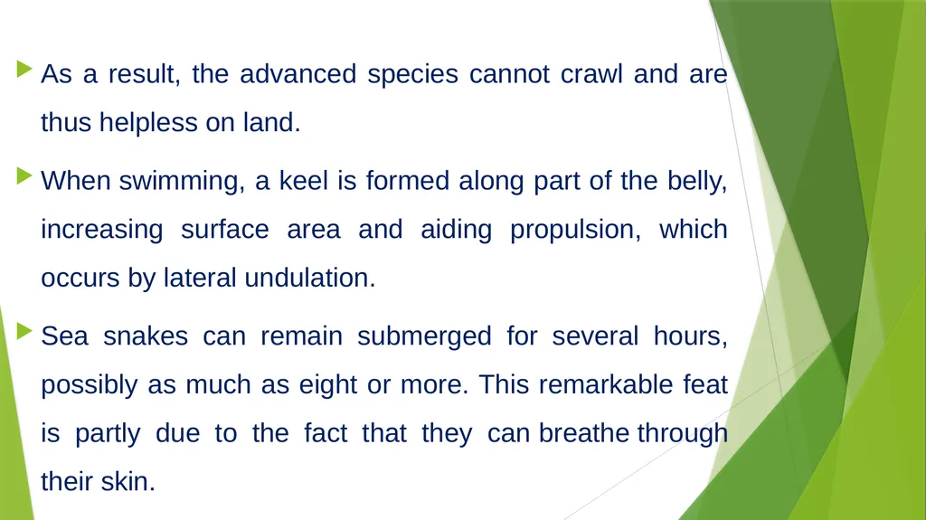 Aquatic specimens adaptations Hydrophis Habitat / - slide 10 of 16